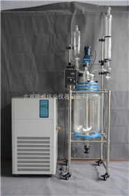 SF-20L双层玻璃反应釜